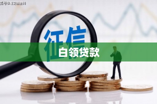 阳西白领贷款