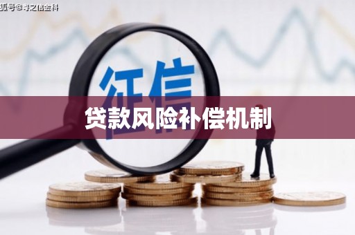 阳西贷款风险补偿机制