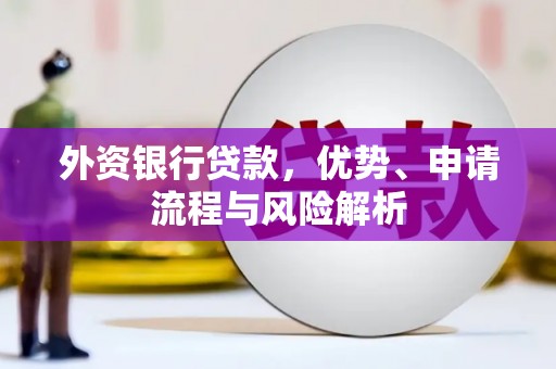 阳西外资银行贷款，优势、申请流程与风险解析