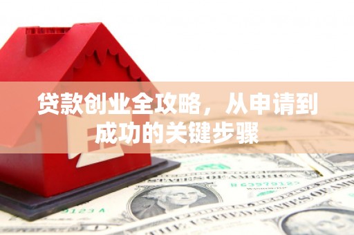 阳西贷款创业全攻略，从申请到成功的关键步骤