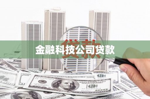 阳西金融科技公司贷款