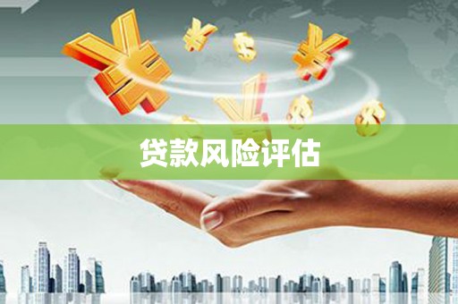 阳西贷款风险评估