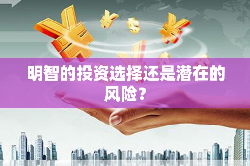 阳西明智的投资选择还是潜在的风险？