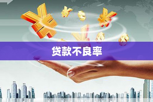 阳西贷款不良率