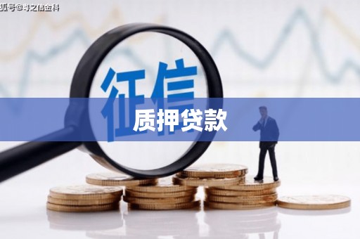 阳西质押贷款