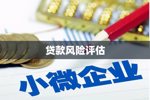 阳西贷款风险评估