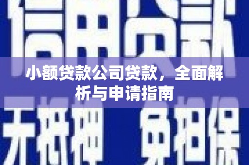 阳西小额贷款公司贷款，全面解析与申请指南