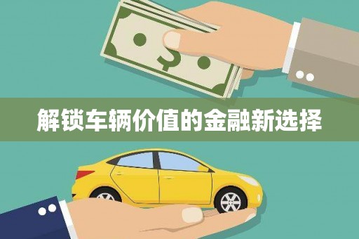 阳西解锁车辆价值的金融新选择