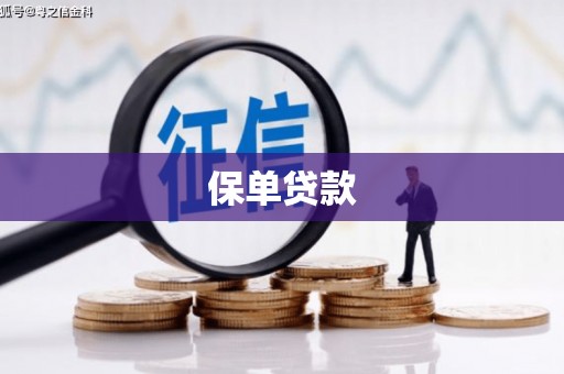 阳西保单贷款