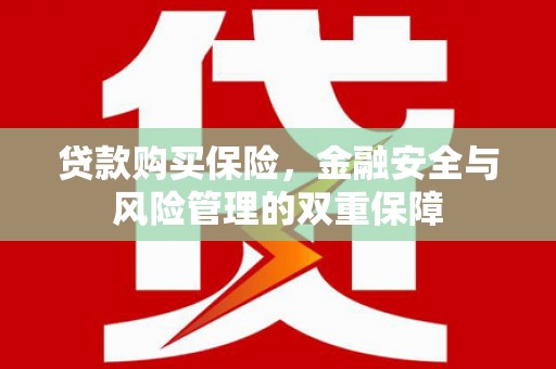 阳西贷款购买保险，金融安全与风险管理的双重保障