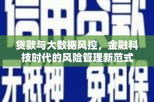 阳西贷款与大数据风控，金融科技时代的风险管理新范式