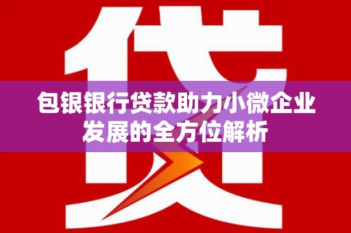 阳西包银银行贷款助力小微企业发展的全方位解析