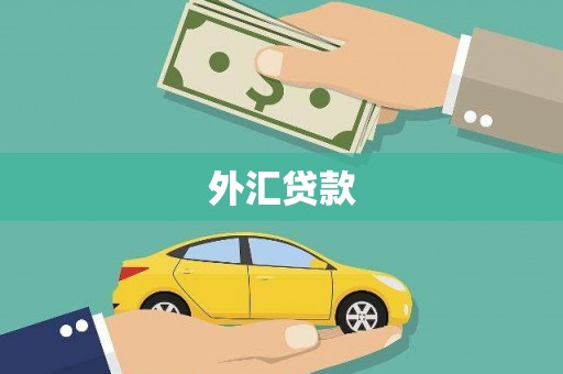 阳西外汇贷款