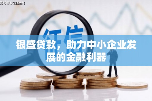 阳西银盛贷款，助力中小企业发展的金融利器