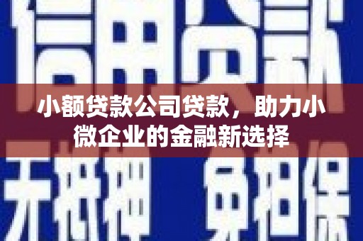 阳西小额贷款公司贷款，助力小微企业的金融新选择