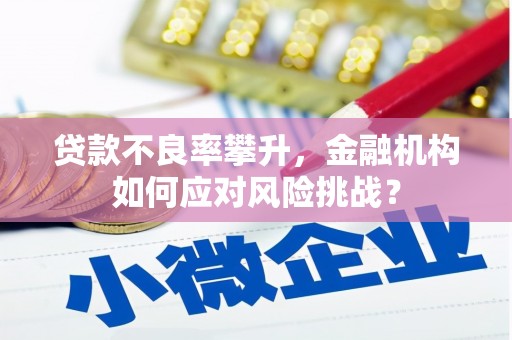 阳西贷款不良率攀升，金融机构如何应对风险挑战？