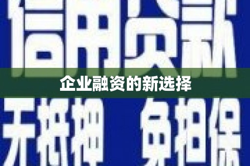 阳西企业融资的新选择
