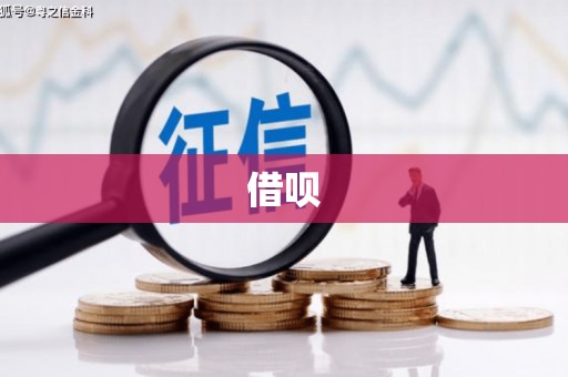 阳西借呗
