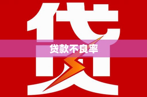 阳西贷款不良率