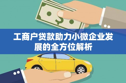 阳西工商户贷款助力小微企业发展的全方位解析
