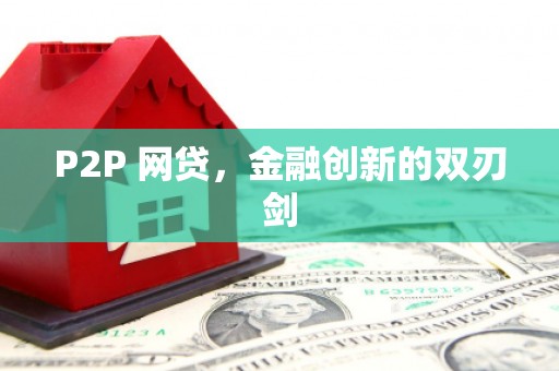 阳西P2P 网贷，金融创新的双刃剑