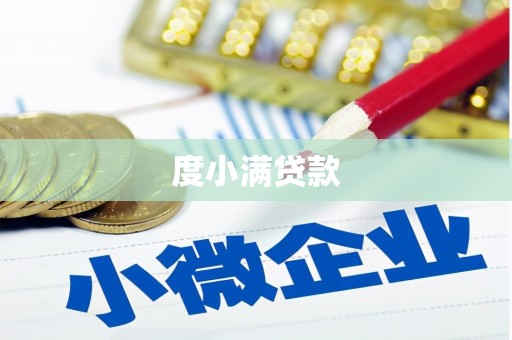 阳西度小满贷款