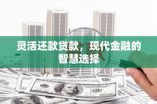 阳西灵活还款贷款，现代金融的智慧选择