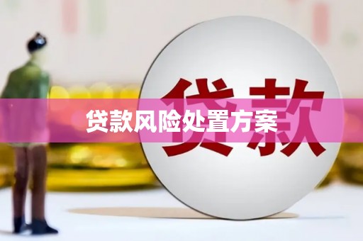 阳西贷款风险处置方案
