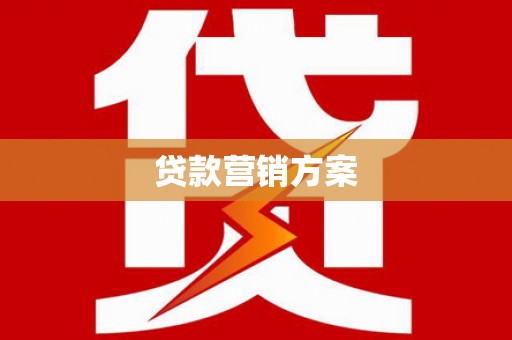 阳西贷款营销方案