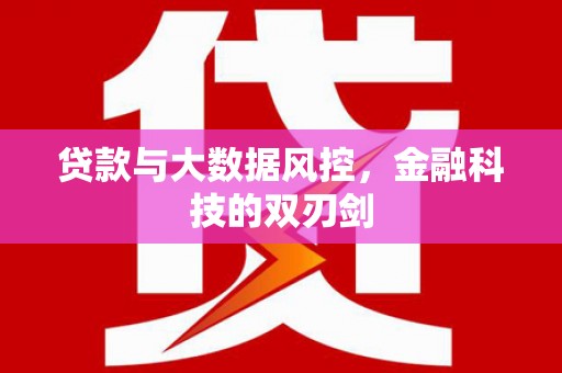 阳西贷款与大数据风控，金融科技的双刃剑