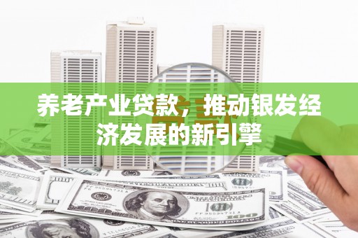 阳西养老产业贷款，推动银发经济发展的新引擎