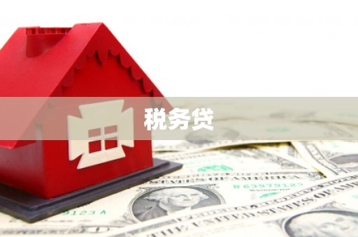 阳西税务贷