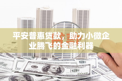 阳西平安普惠贷款，助力小微企业腾飞的金融利器