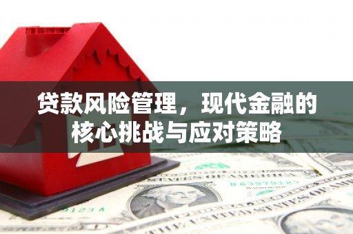 阳西贷款风险管理，现代金融的核心挑战与应对策略
