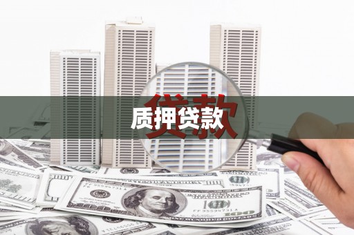阳西质押贷款