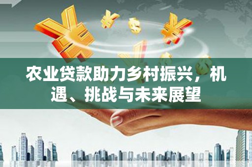 阳西农业贷款助力乡村振兴，机遇、挑战与未来展望
