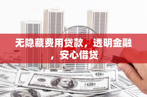阳西无隐藏费用贷款，透明金融，安心借贷