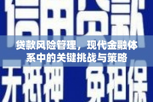 阳西贷款风险管理，现代金融体系中的关键挑战与策略