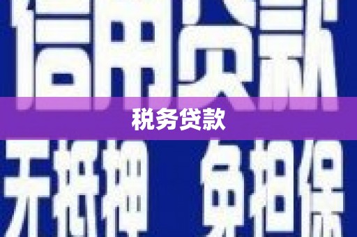 阳西税务贷款
