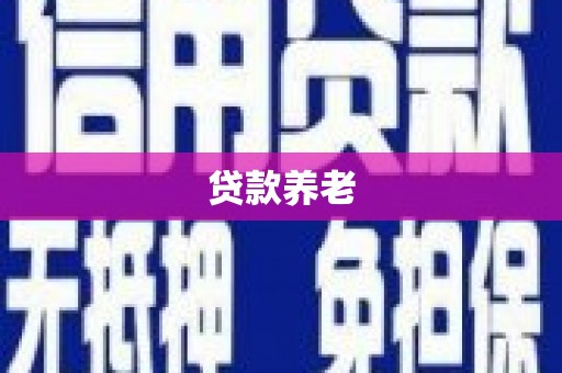 阳西贷款养老