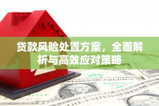 阳西贷款风险处置方案，全面解析与高效应对策略