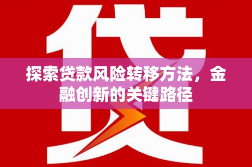 阳西探索贷款风险转移方法，金融创新的关键路径