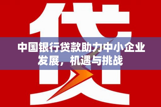 阳西中国银行贷款助力中小企业发展，机遇与挑战