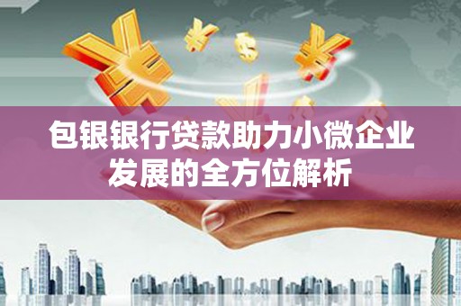 阳西包银银行贷款助力小微企业发展的全方位解析