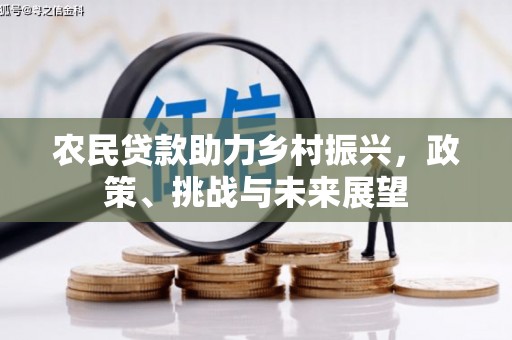 阳西农民贷款助力乡村振兴，政策、挑战与未来展望