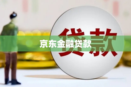 阳西京东金融贷款
