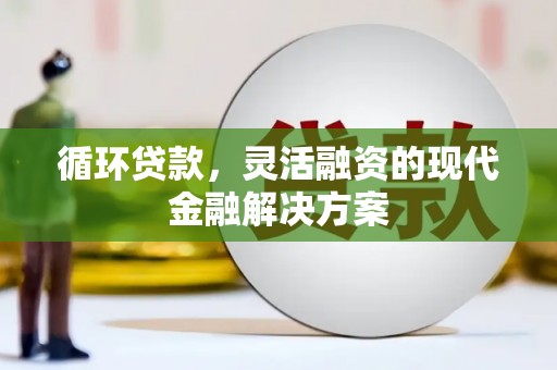 阳西循环贷款，灵活融资的现代金融解决方案