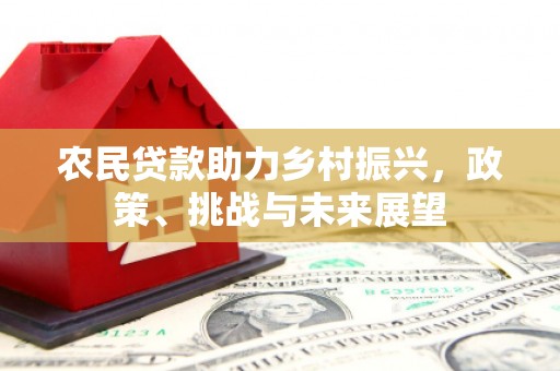阳西农民贷款助力乡村振兴，政策、挑战与未来展望