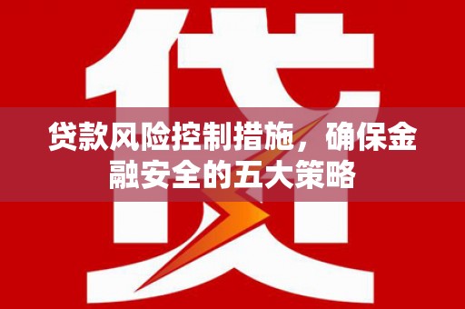阳西贷款风险控制措施，确保金融安全的五大策略