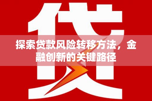 阳西探索贷款风险转移方法，金融创新的关键路径